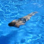 Aquapark Tychy